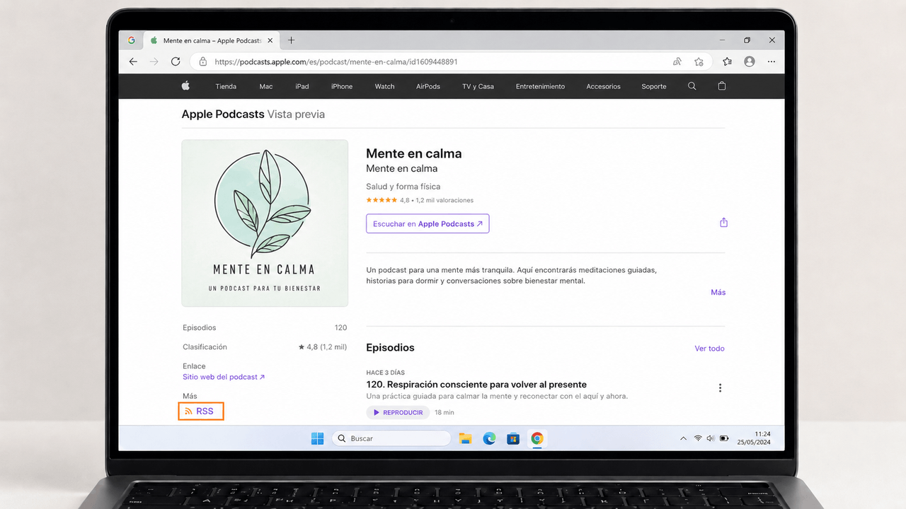 Descargar Podcast desde Web Oficial o Canal RSS